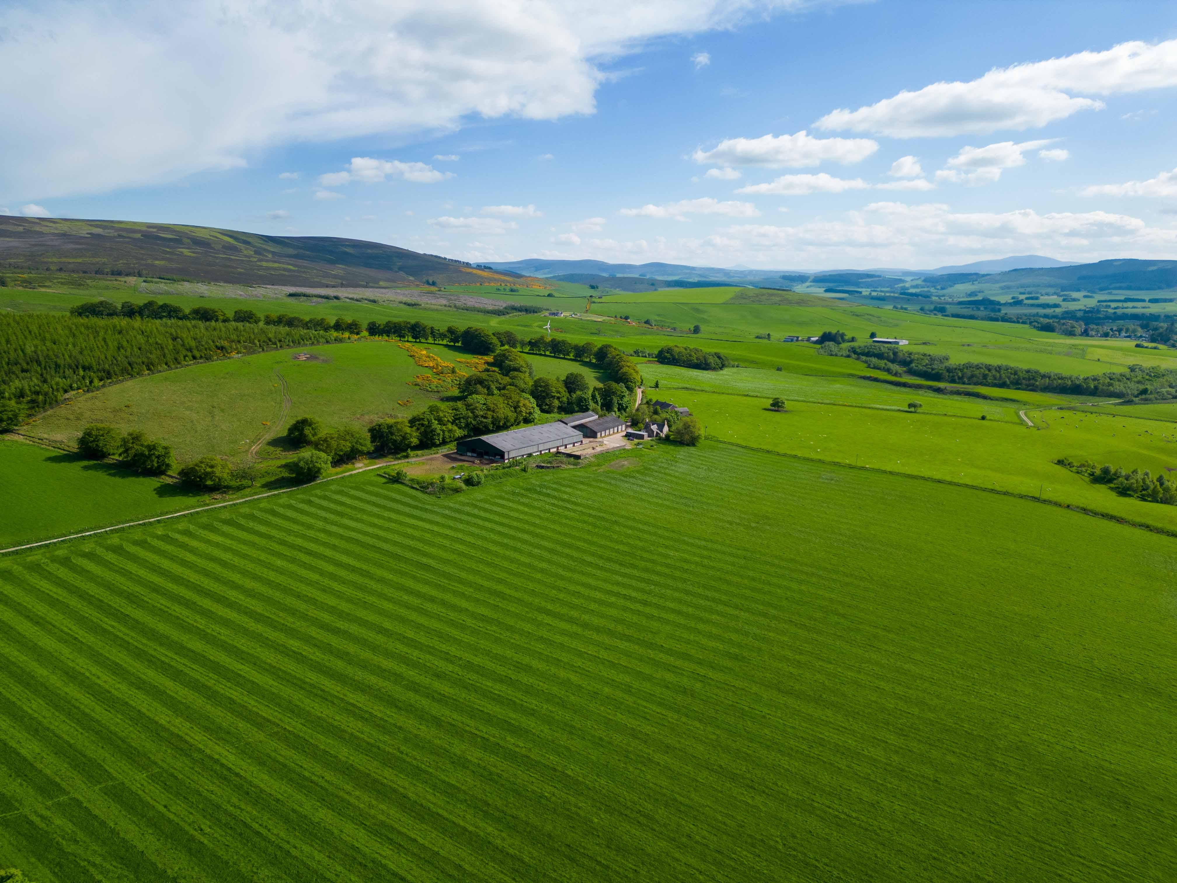 Orchard Farmland — view 1