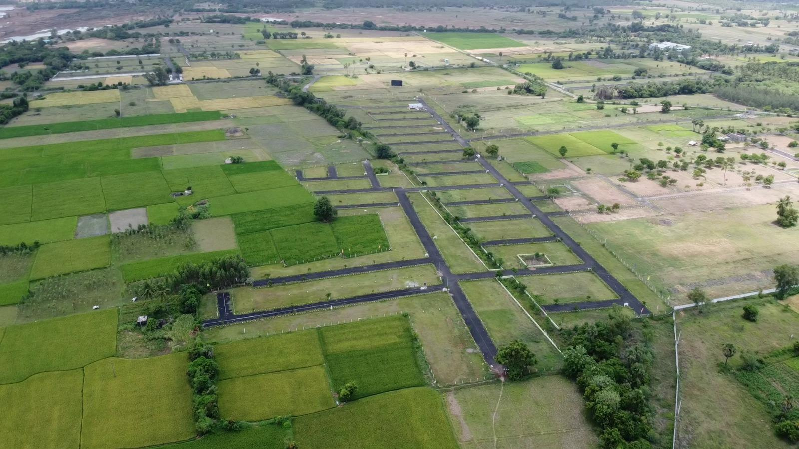 Organic Farm Land — view 1